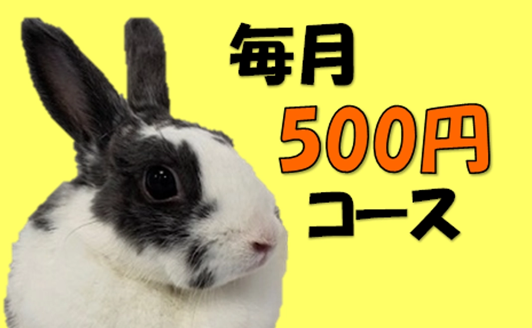 500円コース