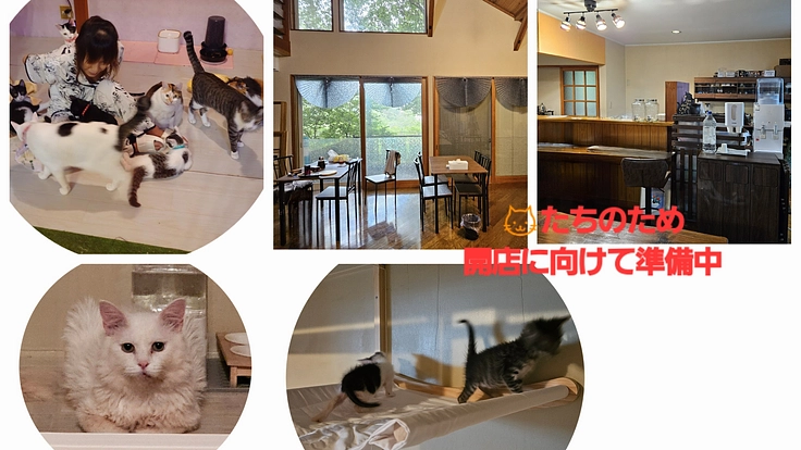 小さな命を守り続けていくため…KING CAT オープンへ力を‥