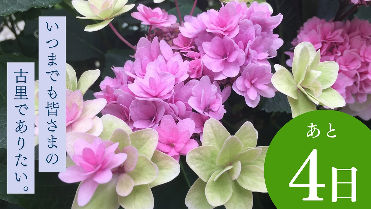 残り４日間となりました！皆が安らげる場所であり続けたい。