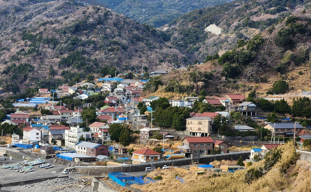 おもいっきり伊浜を応援コース