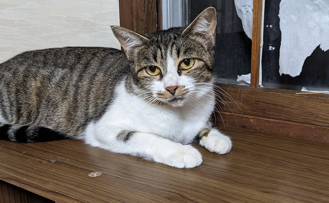 感謝です🙇☺️