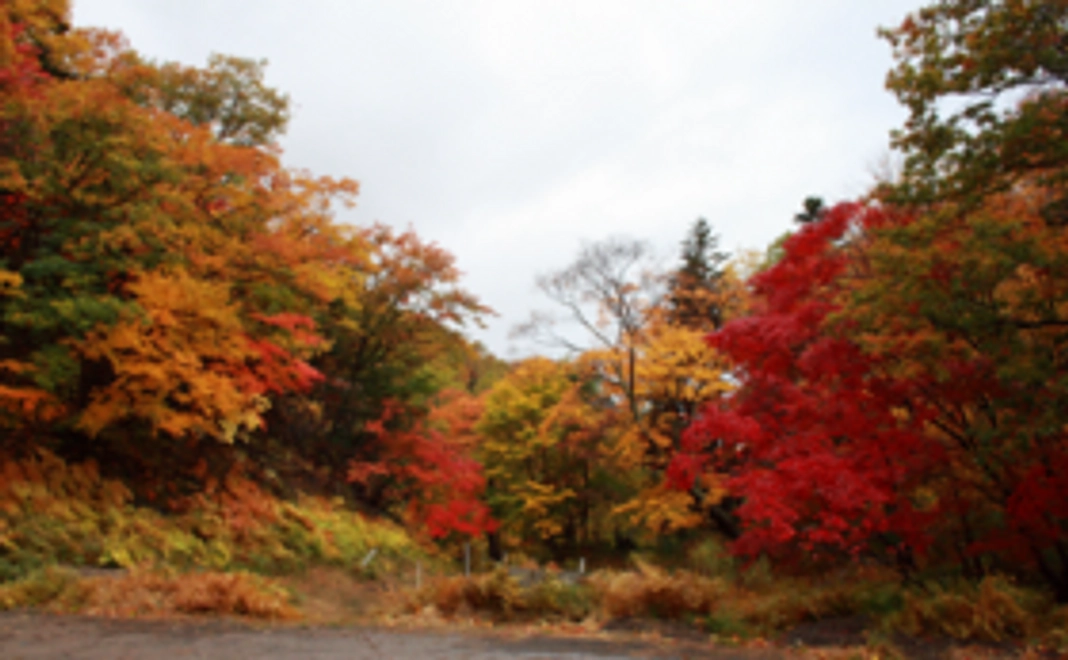 紅葉谷を大応援コース