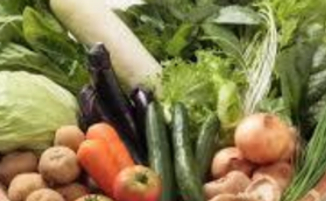 無肥料・無農薬の自然栽培農法で収穫した農作物のお届け