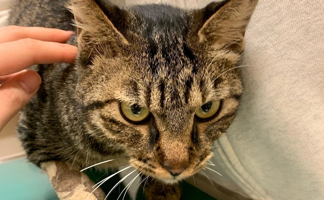 ご支援1,000円(システム料220円含)プラン