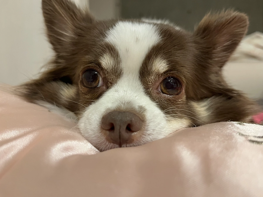 2024.01.17 残り58時間となりました💦