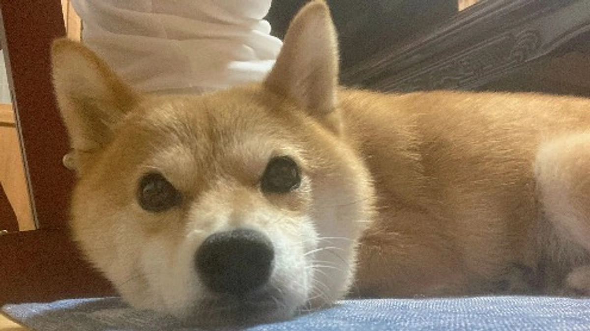 早速ご支援いただきありとうございます！