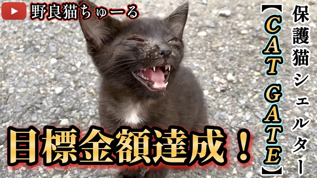 目標金額達成！ありがとうございます！