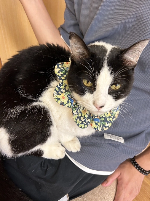 始まりました！！！