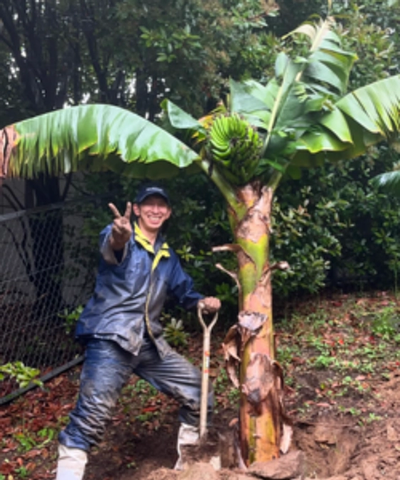 【活動報告㊱】バナナ園、開園！