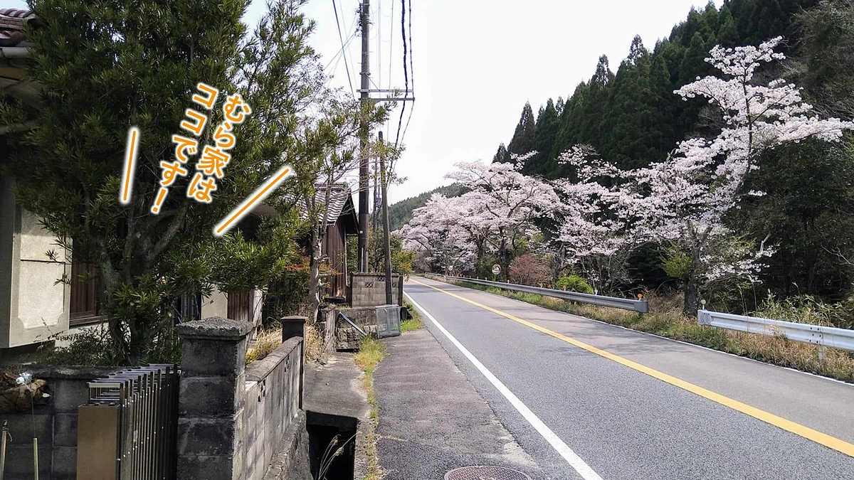 いよいよ始りました！