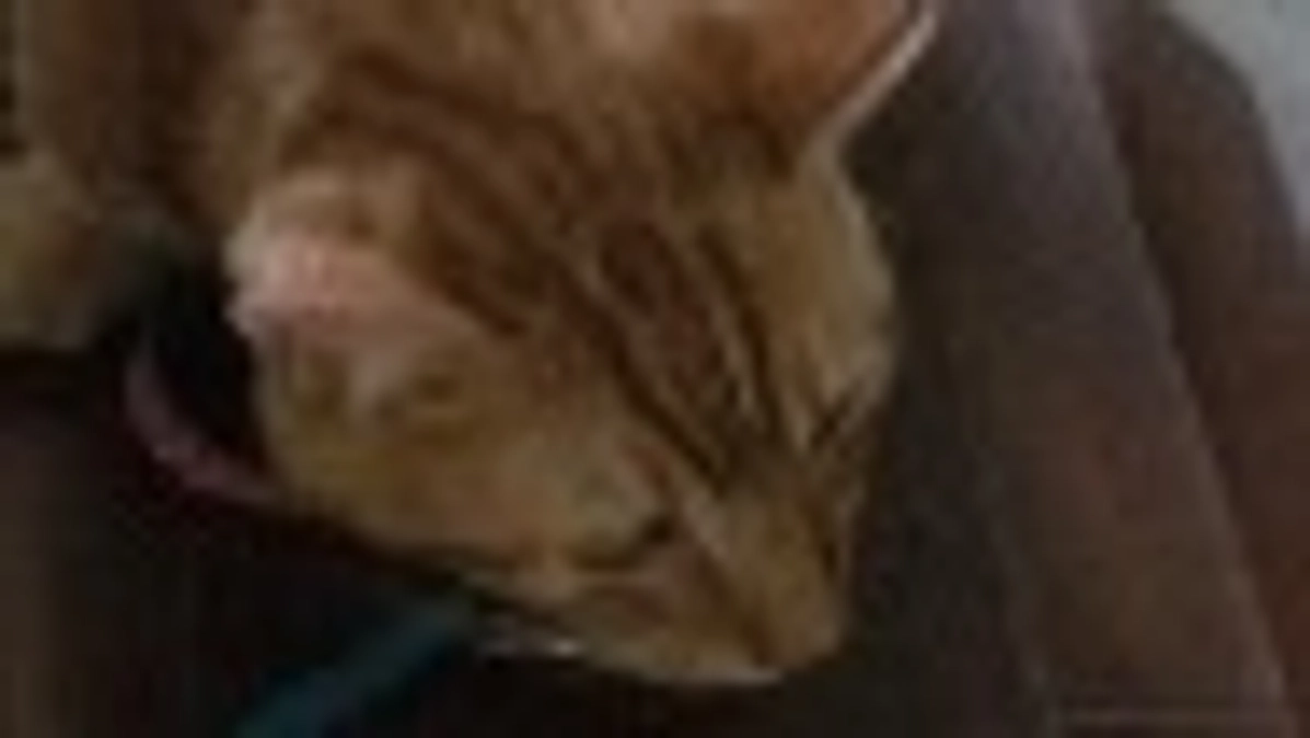 プロジェクト達成できました。