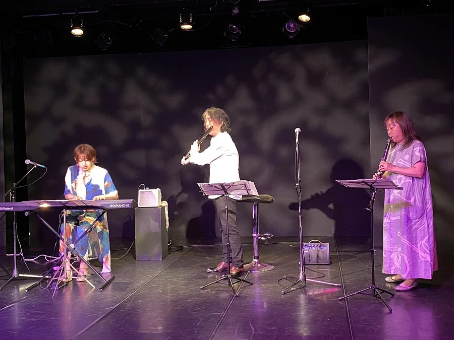 沖縄で、雪の翼