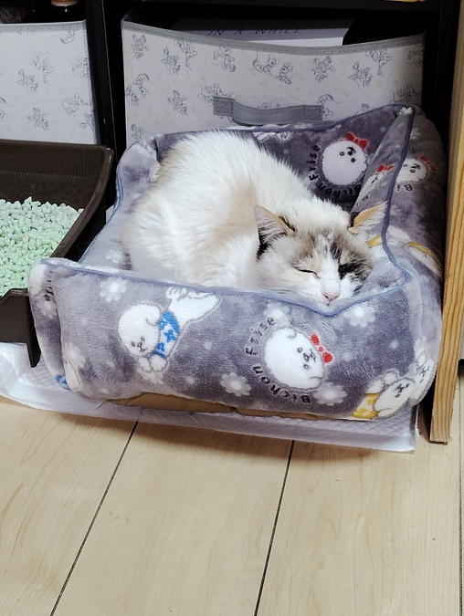 私達の寮母さん