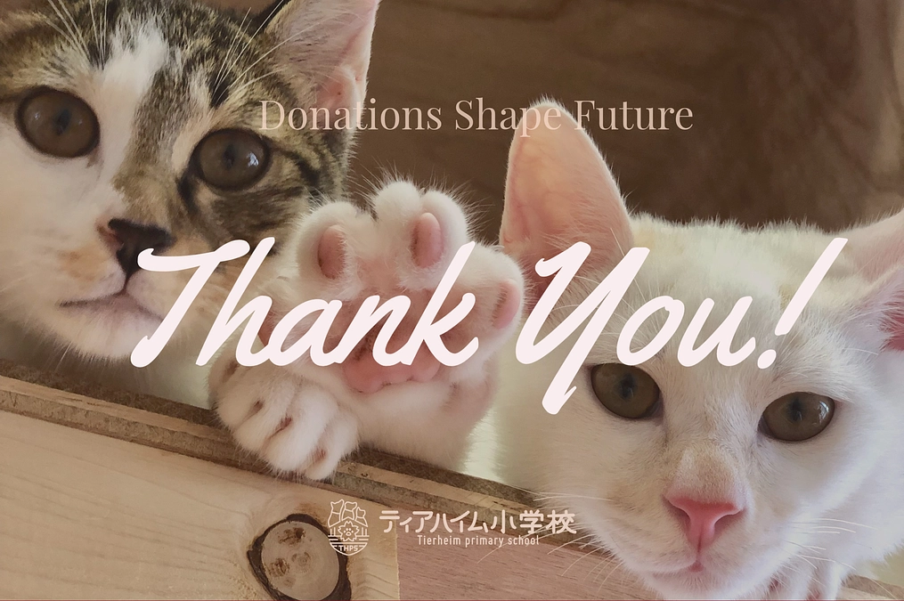 プロジェクト終了ありがとうございました！