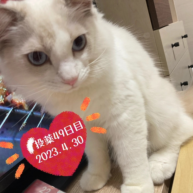 投薬４９日目(2023.4.30)&ご支援のお知らせ