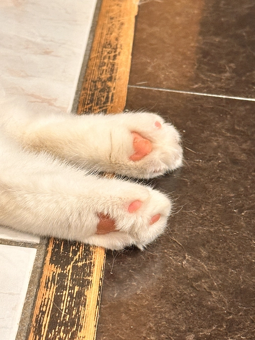 💩が出ると身軽