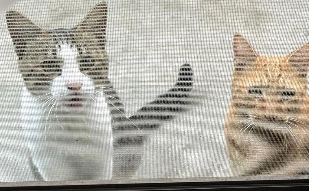 ②神様仏様プラン【5,000円】