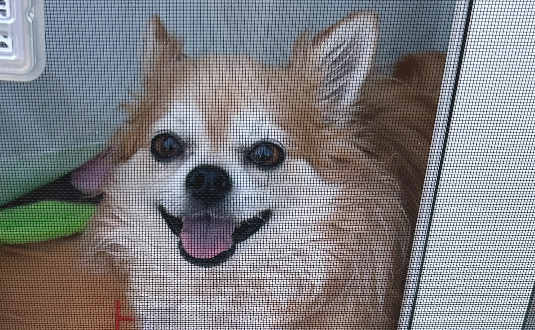 感謝のメールをお送りします