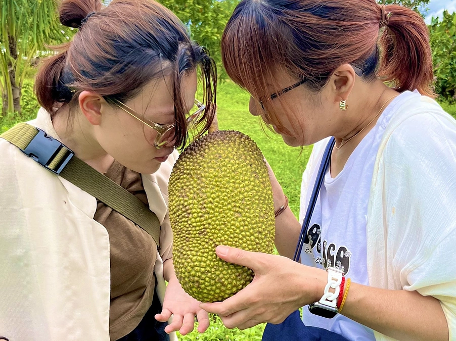 チョコリコ農園のゲートと柵が完成♪看板も設置できました！