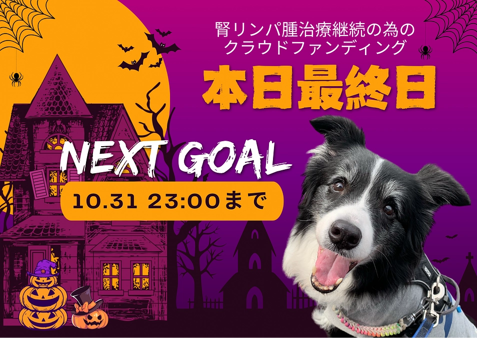 最終日 本日23:00まで