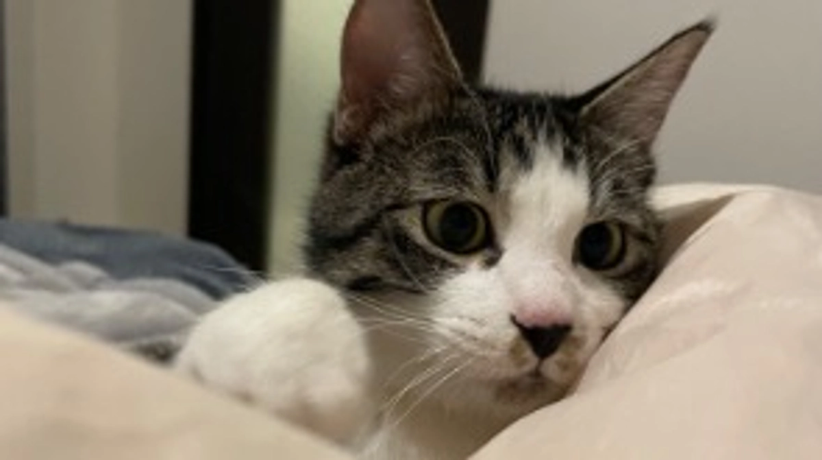 また寒くなってきました。