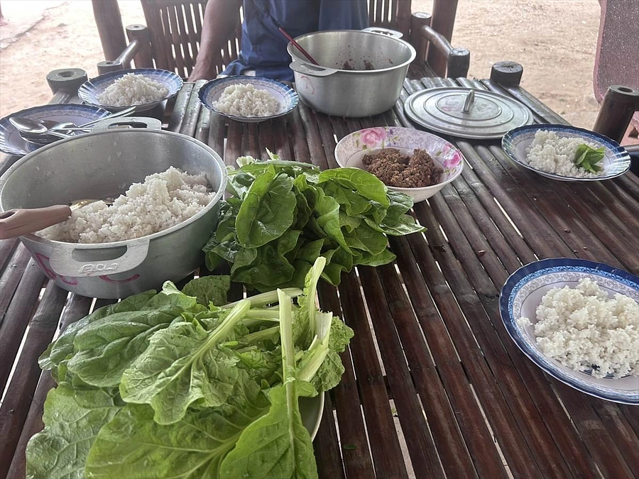 【思考は現実化する】ハウス栽培で収穫した野菜を子どもたちが試食