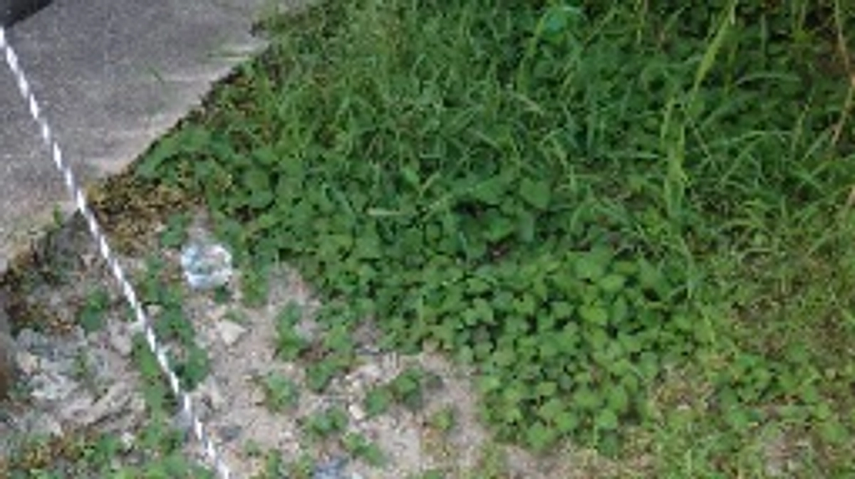 支援金での購入品