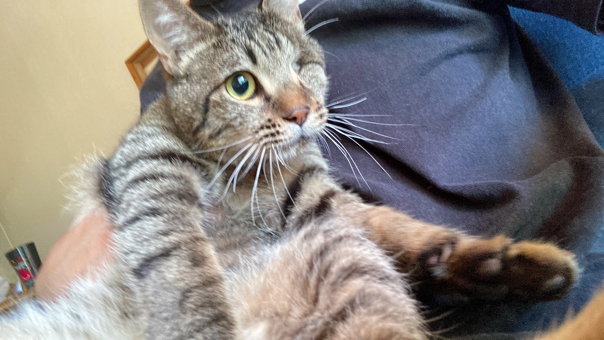 ご支援、応援ありがとうございました！！