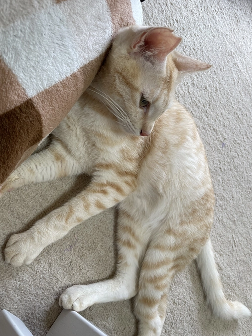 皆様ご支援ありがとうございます。