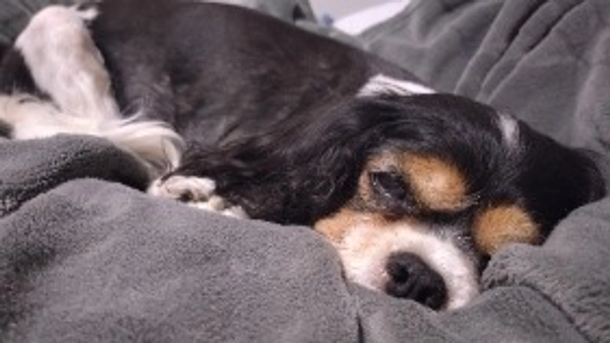 9月25日かかりつけ受診と脾臓の転移見つかる