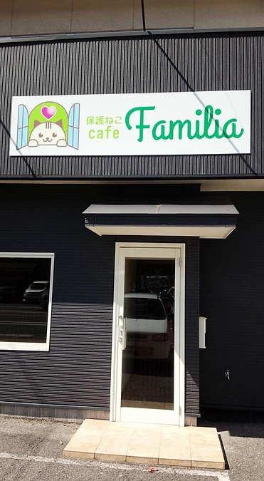 修繕費のプロジェクト、残り5時間となりました！猫たちの体調管理のために最後までよろしくお願いします。