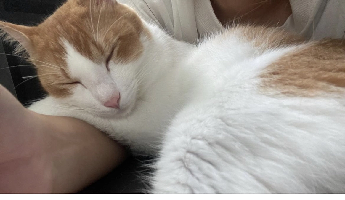 通院、検査結果です。