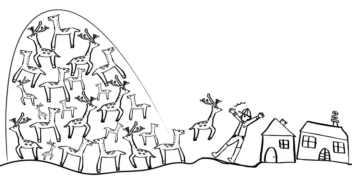 駆除された鹿革を継続して利用する為に