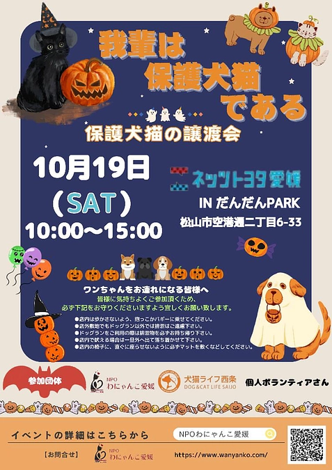 譲渡会参加並びに開催致しました🙇‍♀️