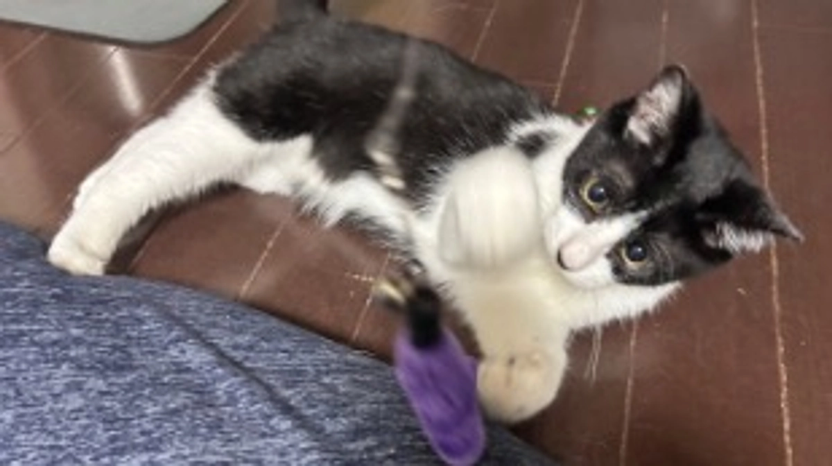 10月24日 〜 日常報告⑦ 〜保護から63日目