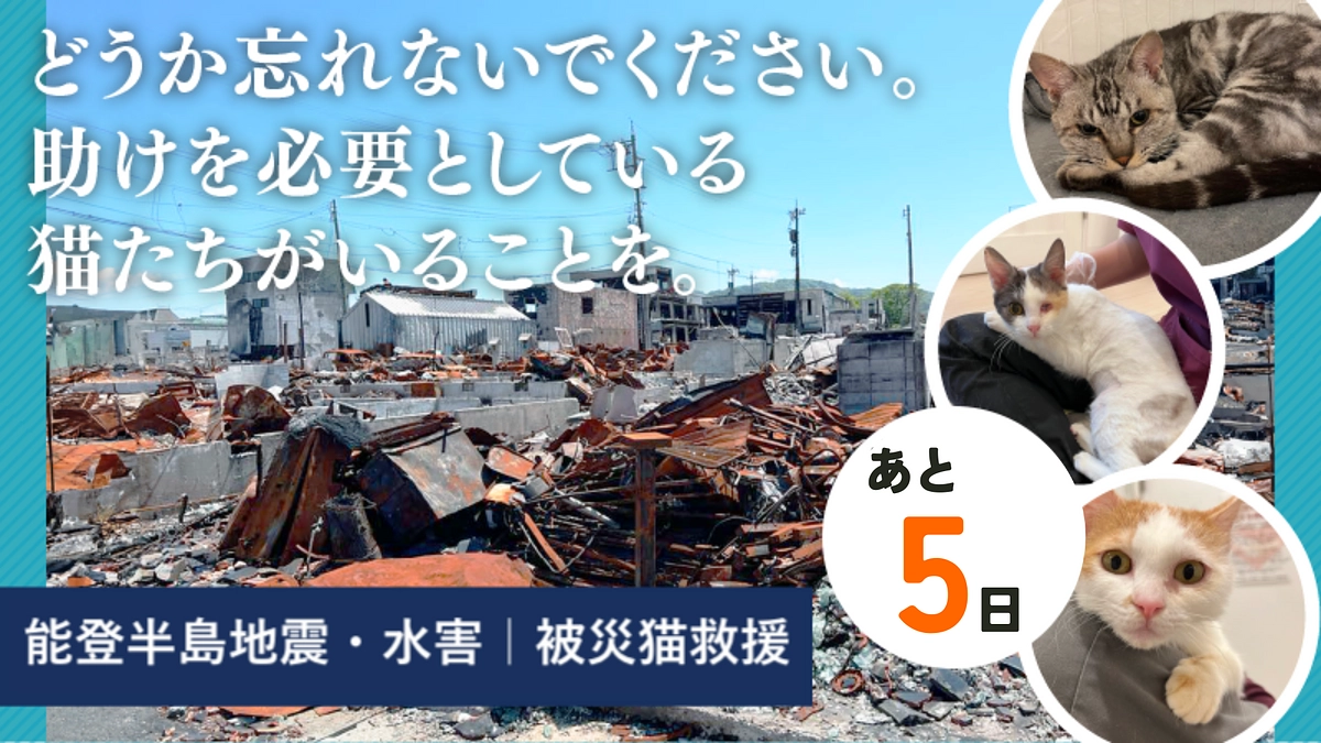 【終了まであと5日】朝日新聞が運営する「Sippo」に香取章子が寄稿した記事が公開されました