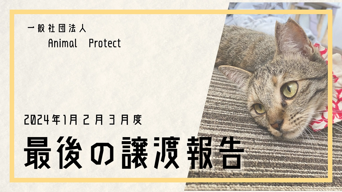 定期報告　１月～３月度