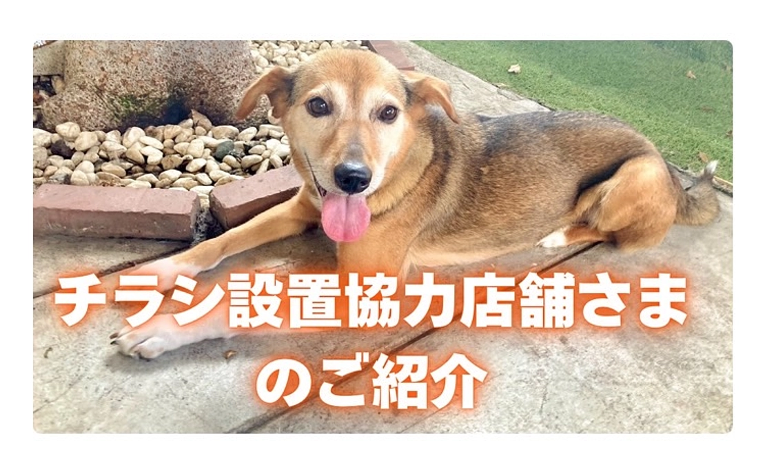 【第2弾】チラシ設置協力店舗様をご紹介します