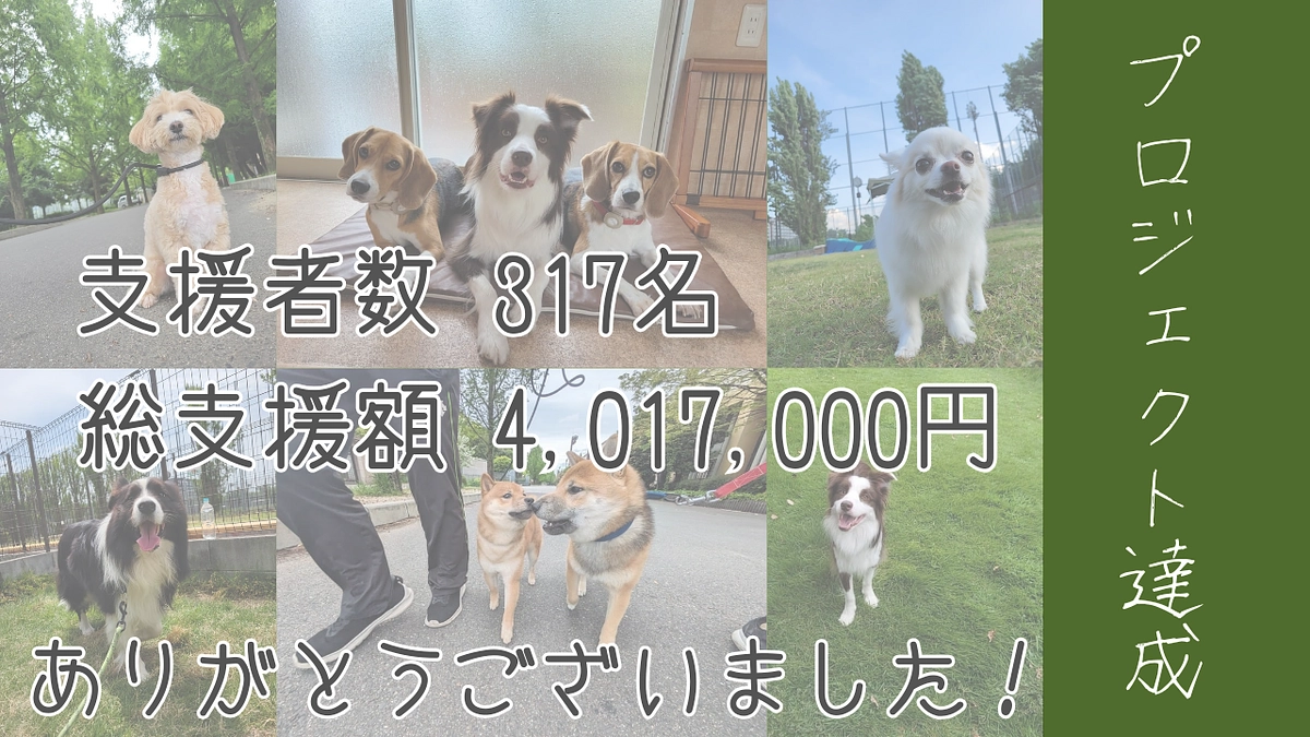 プロジェクト達成！ご支援、応援ありがとうございました！