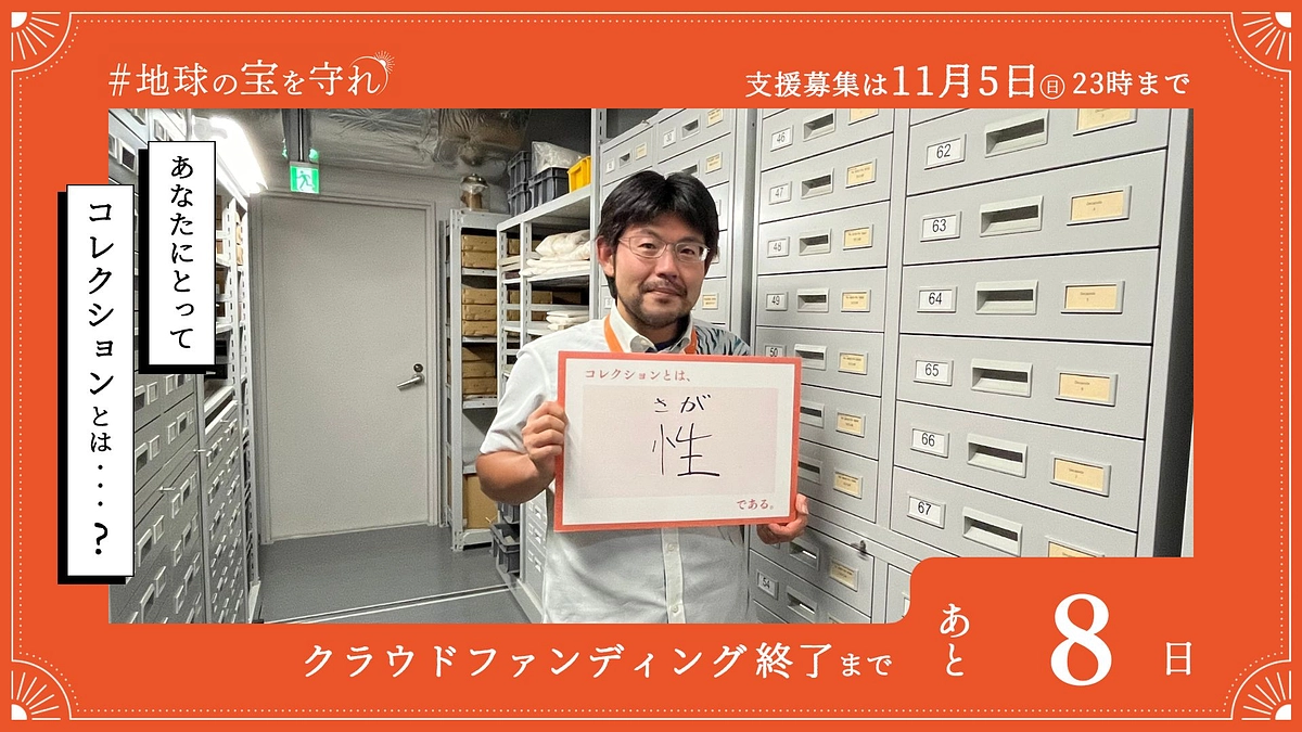 終了まであと8日