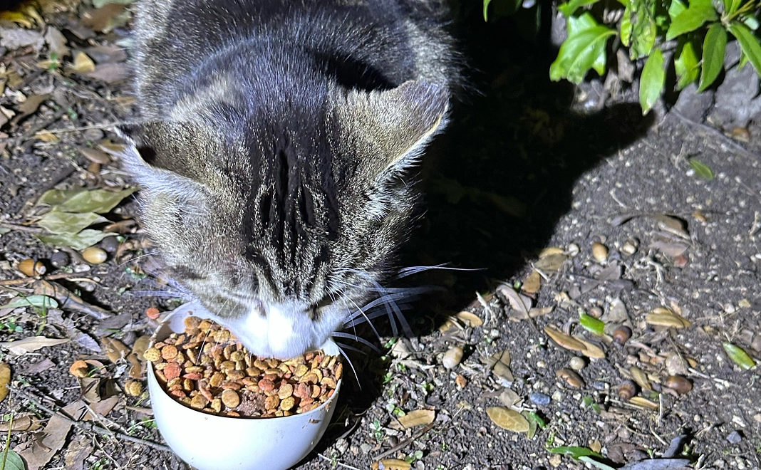 感謝のメッセージ1️⃣