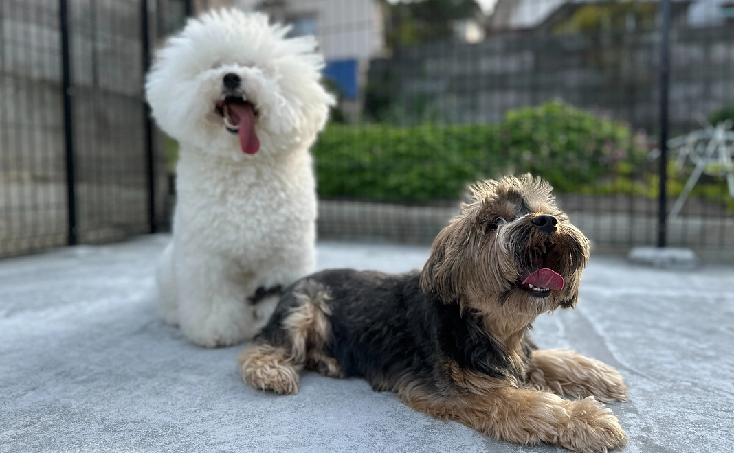 応援コース【3万円】