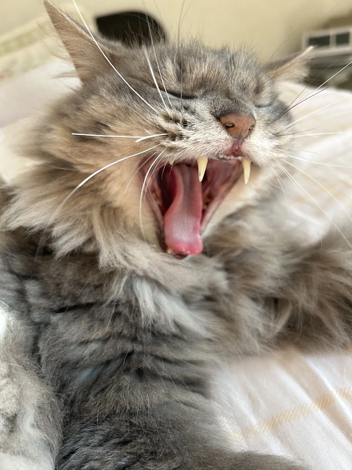 皆さまありがとうございます😭