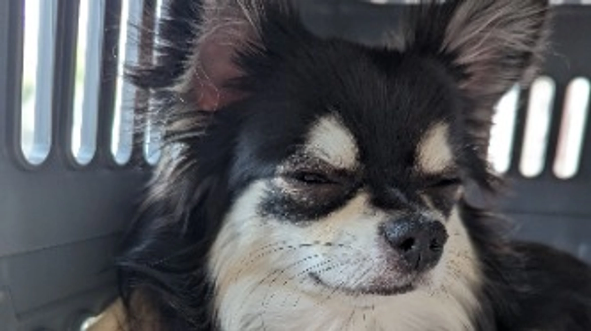 月に1度の経過観察でした