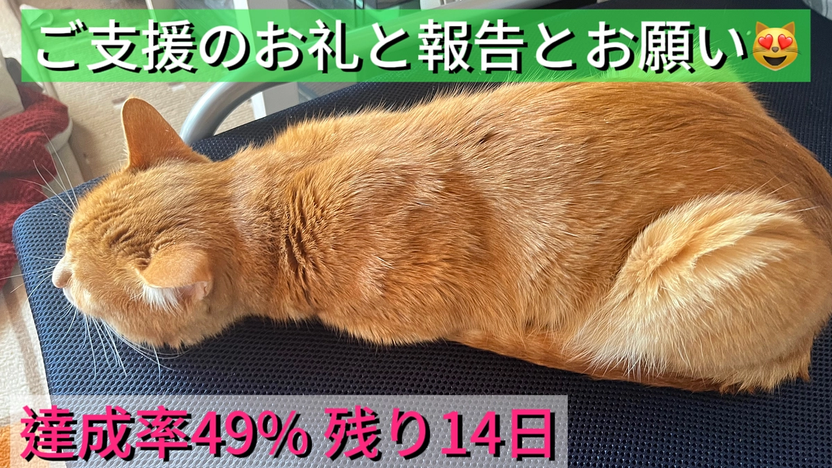 ご支援のお礼と報告とお願い😻