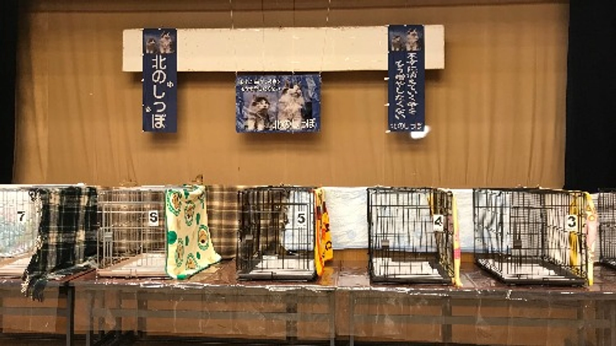 気持ち新たに里親会の準備