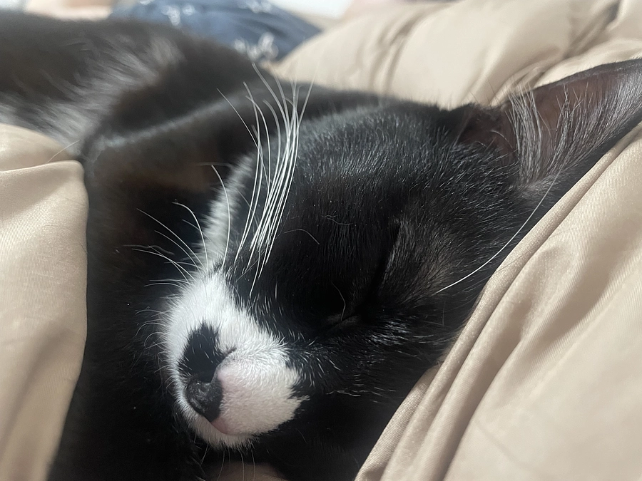 返礼品発送について