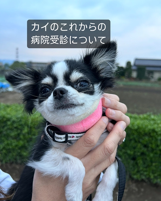 これからの病院受診等について