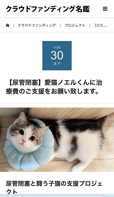 『クラウドファンディング名鑑』に取り上げて頂きました‼️