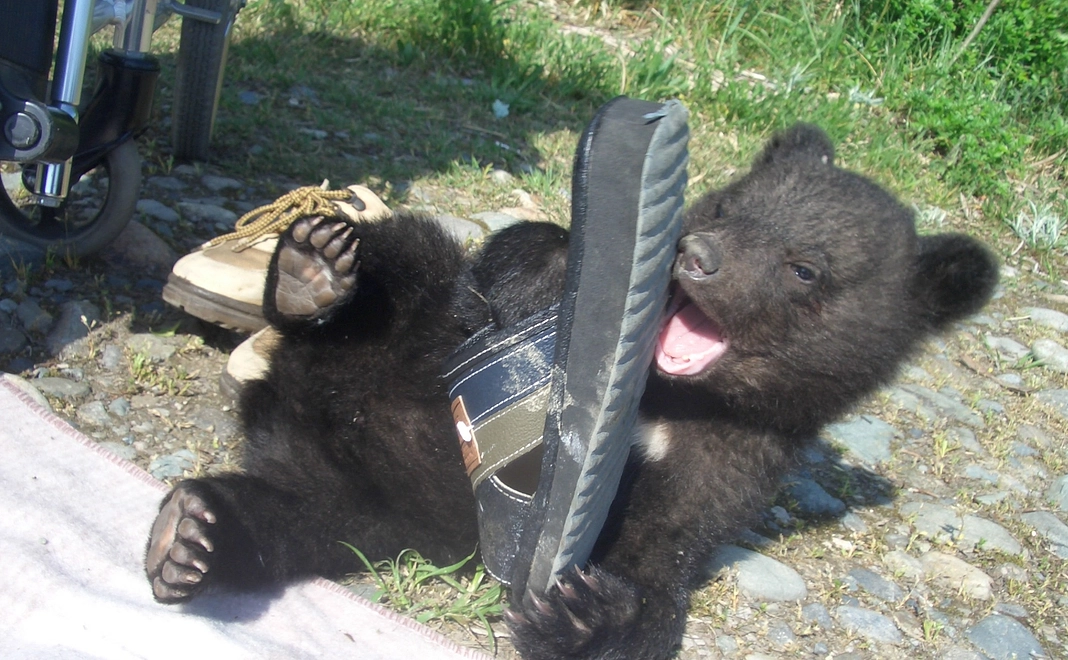 3000円ご支援コース